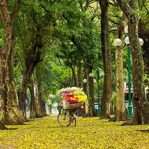 Hanoi Center Silk Hotel & Travel